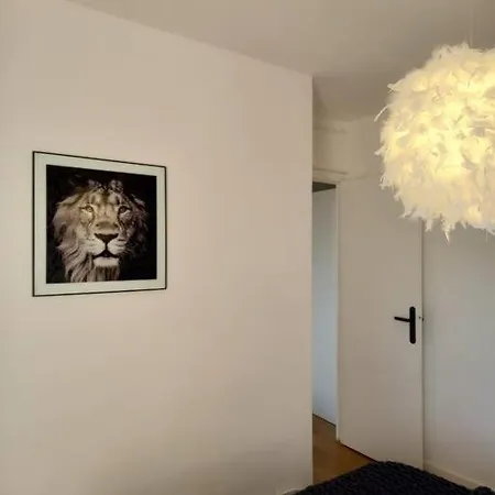 Plein Centre De D'agen