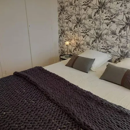 Plein Centre De D'agen *