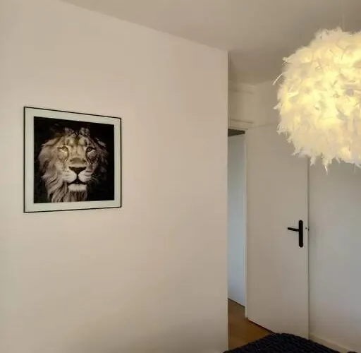 Plein Centre De D'agen