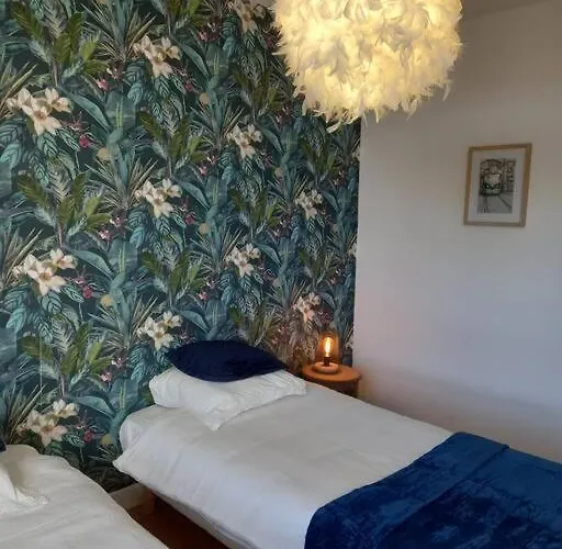 Apartamento Plein Centre De D'agen *