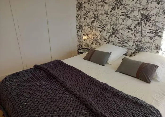 Plein Centre De D'agen *